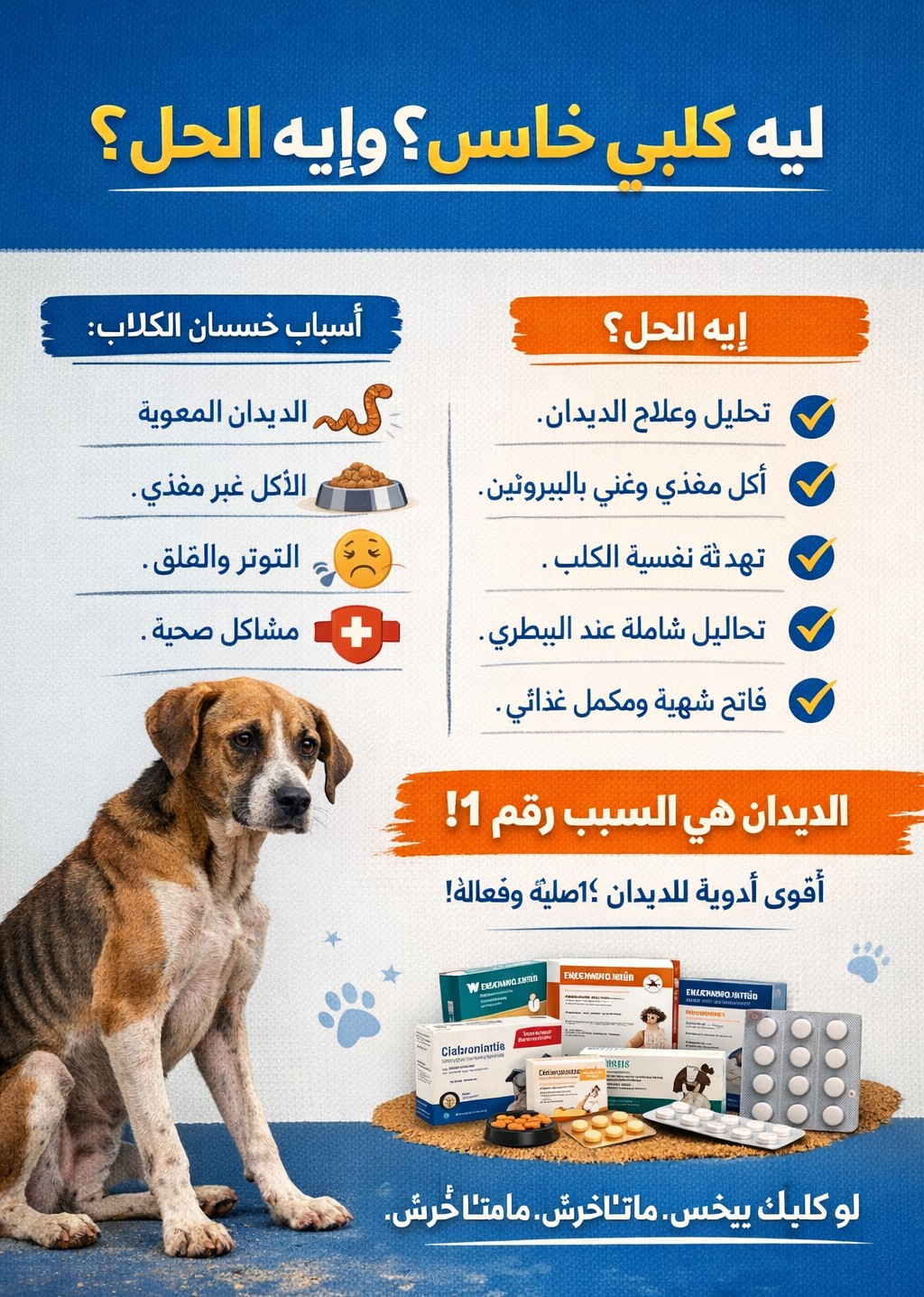 كلبي خاسس؟ غالبًا السبب ديدان! وإيه الحل؟